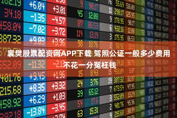 襄樊股票配资网APP下载 驾照公证一般多少费用 不花一分冤枉钱