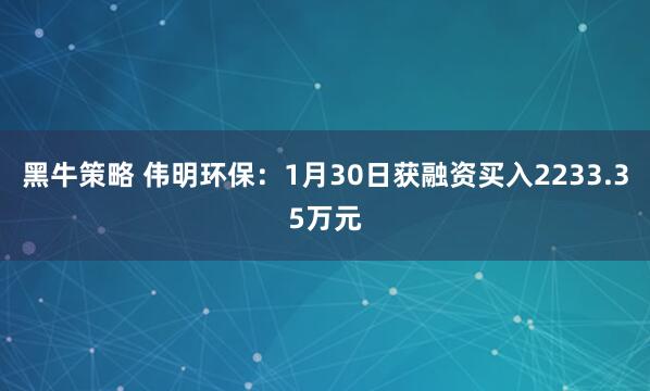 黑牛策略 伟明环保：1月30日获融资买入2233.35万元